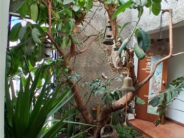 Imagen 6