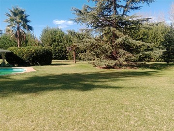Imagen 30