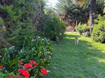 Venta / Parcela / Pirque