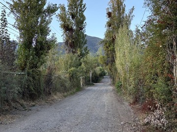 Imagen 14