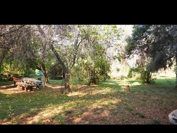 Imagen 7