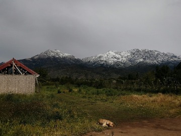 Imagen 2