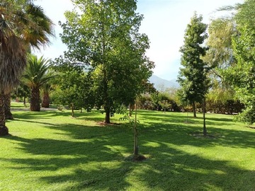 Imagen 17