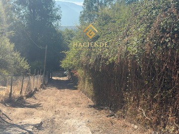 Imagen 16