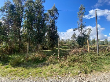 Imagen 7