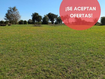 Venta / Parcela / Pitrufquén