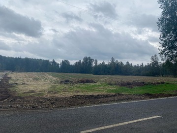Venta / Parcela / Pitrufquén