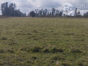 Imagen 7
