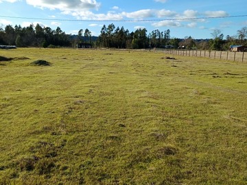Venta / Parcela / Pitrufquén