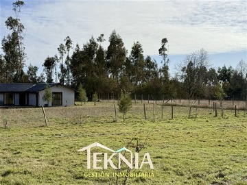 Imagen 16