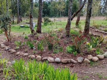 Venta / Parcela / Pitrufquén