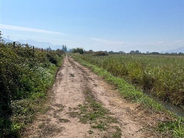 Venta / Parcela / Placilla