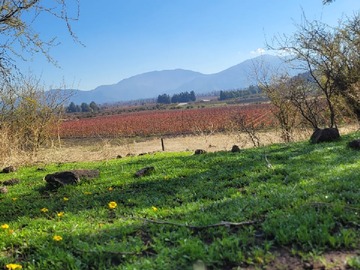 Venta / Parcela / Placilla