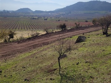 Imagen 8