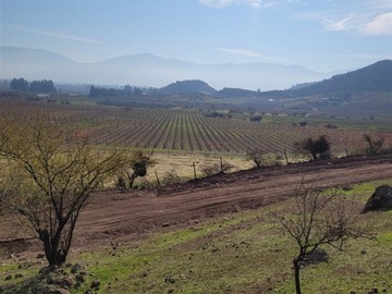 Imagen 12