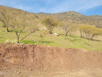 Imagen 5