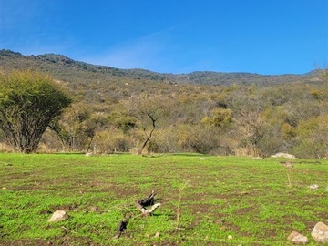 Venta / Parcela / Placilla