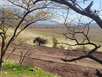 Imagen 6