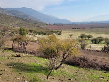 Imagen 9