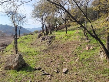 Venta / Parcela / Placilla