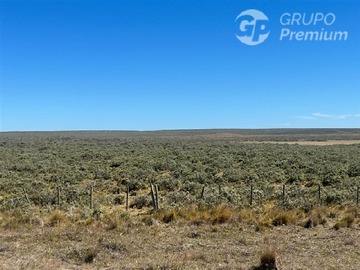 Venta / Parcela / Porvenir