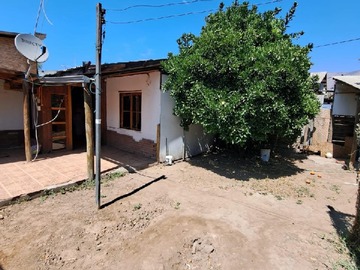 Frontis