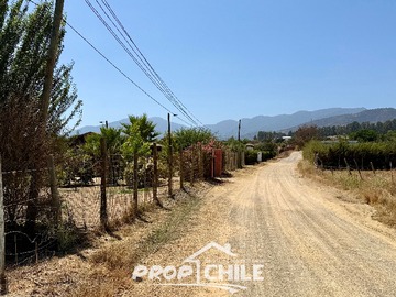 Imagen 12