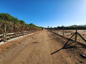 Imagen 14