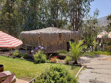 Imagen 5