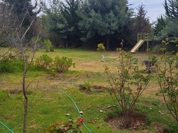 Imagen 26