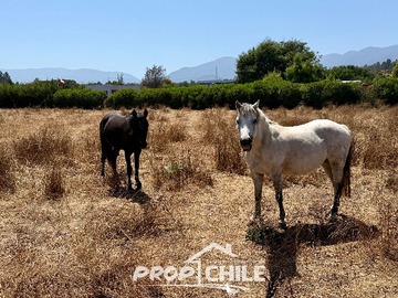 Imagen 9