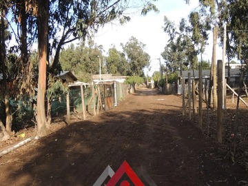 Venta / Parcela / Puchuncaví