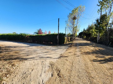 Imagen 9