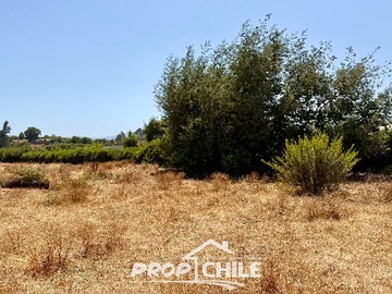 Imagen 8