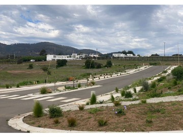 Imagen 6