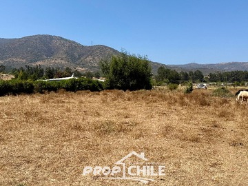 Imagen 11