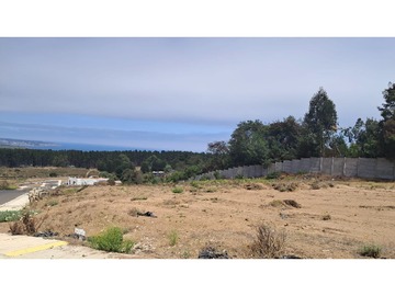 Imagen 11