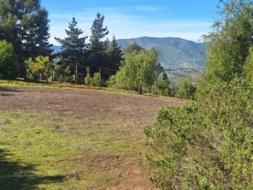 Imagen 6