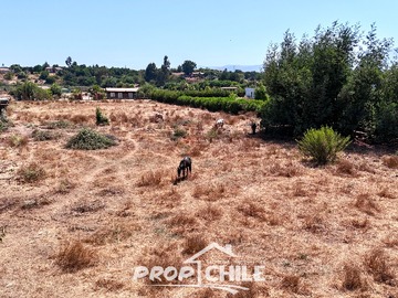Imagen 5