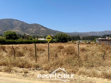 Imagen 14