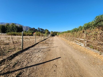 Imagen 12