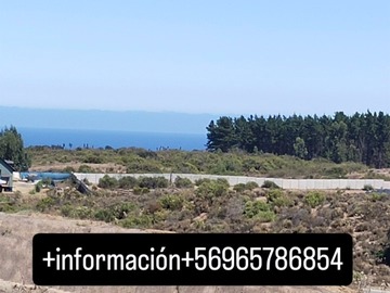 Venta / Parcela / Puchuncaví