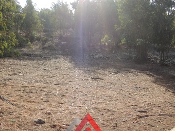 Imagen 11