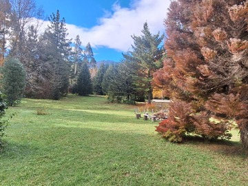 Parque