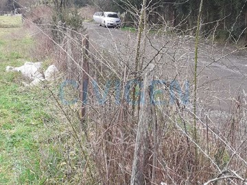 Imagen 12