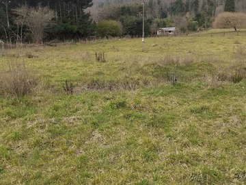 Venta / Parcela / Pucón