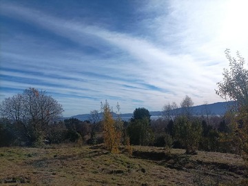 Imagen 7