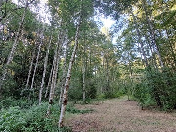 Venta / Parcela / Pucón