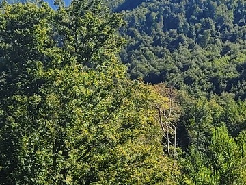 Pucón, curarrehue cerro Las Peinetas Image