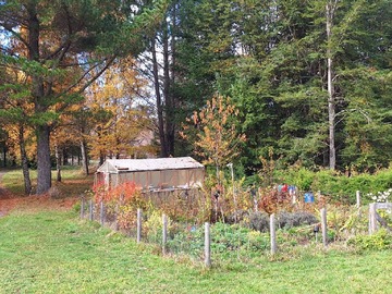 Huerta